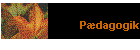 Pdagogik