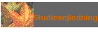 Studievejledning
