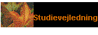 Studievejledning
