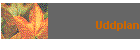 Uddplan